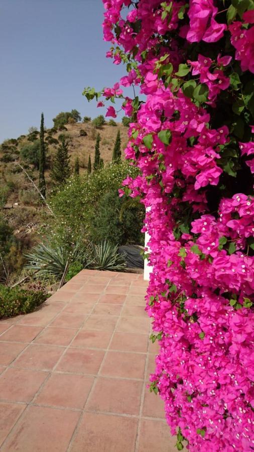 Cortijo Las Palmeras El Chorro ألورا المظهر الخارجي الصورة