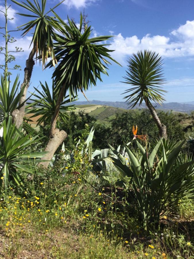 Cortijo Las Palmeras El Chorro ألورا المظهر الخارجي الصورة